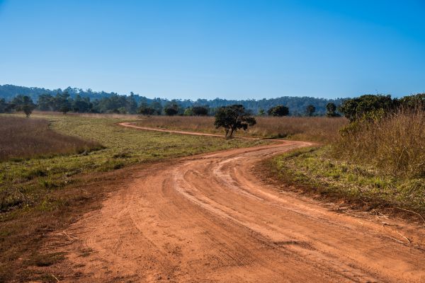 Dirt Driveway Repair in Cookeville