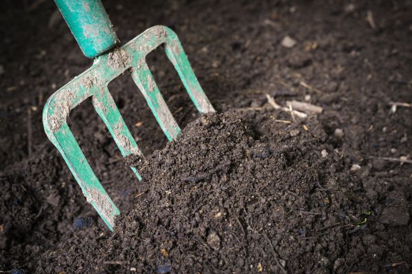 Topsoil Spreading in Cookeville