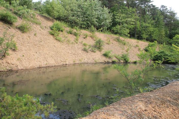 Pond Erosion Repair in Cookeville