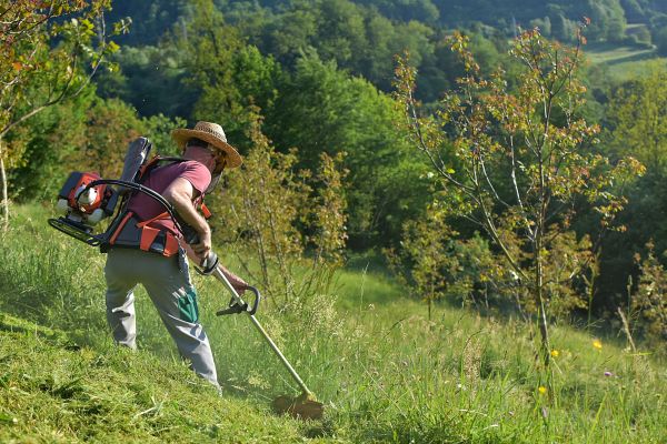 Slope Trimming in Cookeville